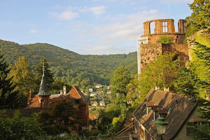 Heidelberg Exclusive Tour - Old Town, Scenic Walk & Castle Entry