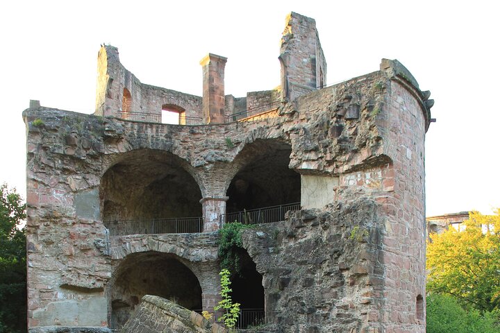 Heidelberg Exclusive Tour - Old Town, Scenic Walk & Castle Entry