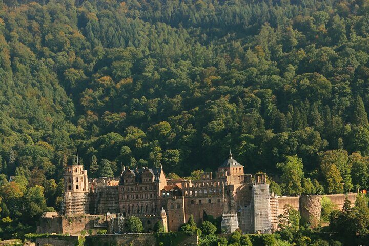 Heidelberg Exclusive Tour - Old Town, Scenic Walk & Castle Entry