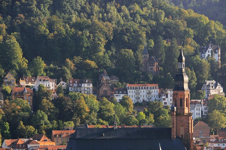Heidelberg Exclusive Tour - Old Town, Scenic Walk & Castle Entry