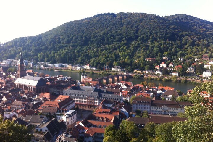 Heidelberg Exclusive Tour - Old Town, Scenic Walk & Castle Entry