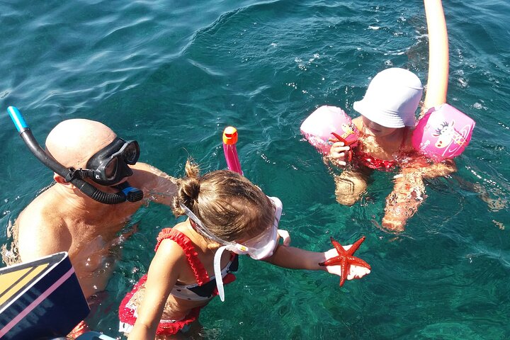 Exclusive ride in Solar Catamaran - Private