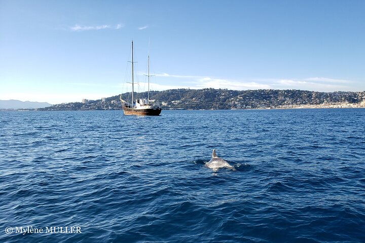 Exclusive ride in Solar Catamaran - Private