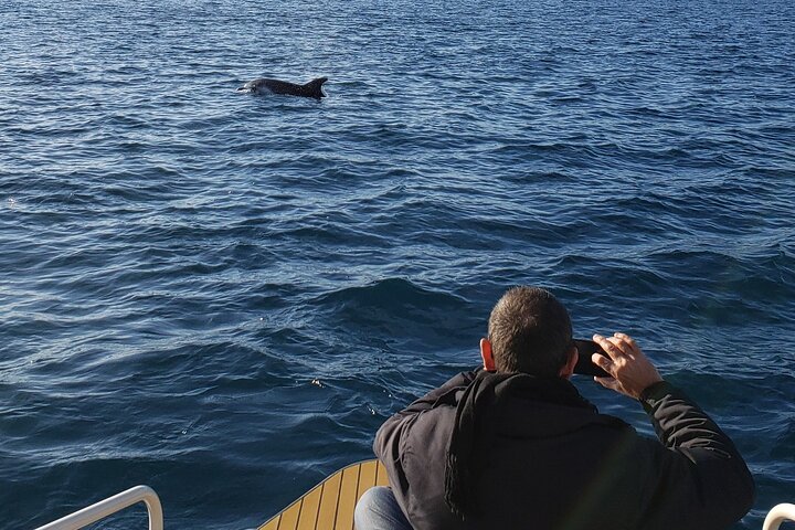 Exclusive ride in Solar Catamaran - Private