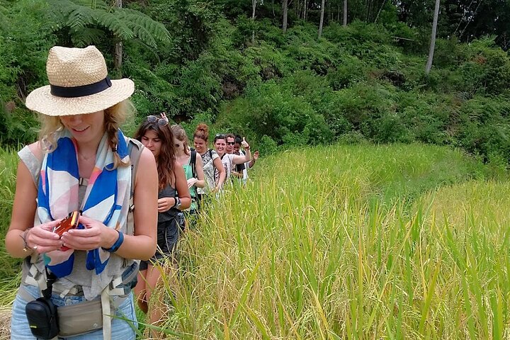 toraja fantastic tour 3 days/by sleeping bus/mini vanAC/min 2pax