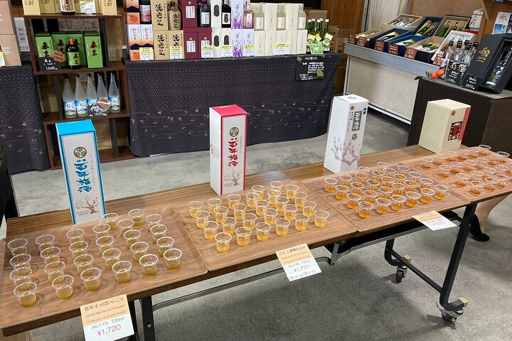 Explore Plum Wine Sake Museum and Japanese Alcohol Tasting