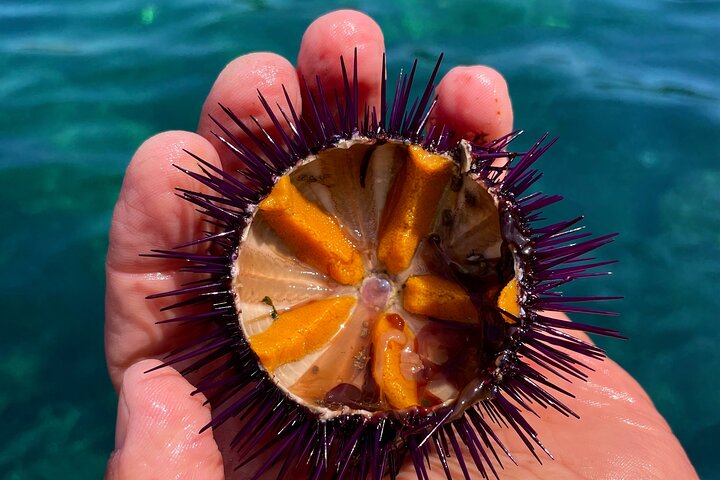 Procida : Boat Tours - Bathing Stops, Snorkeling and Underwater Photos