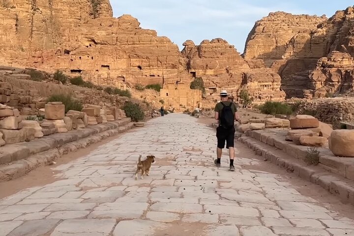 Private Full-Day Petra Tour with Return Transfer from Dead Sea