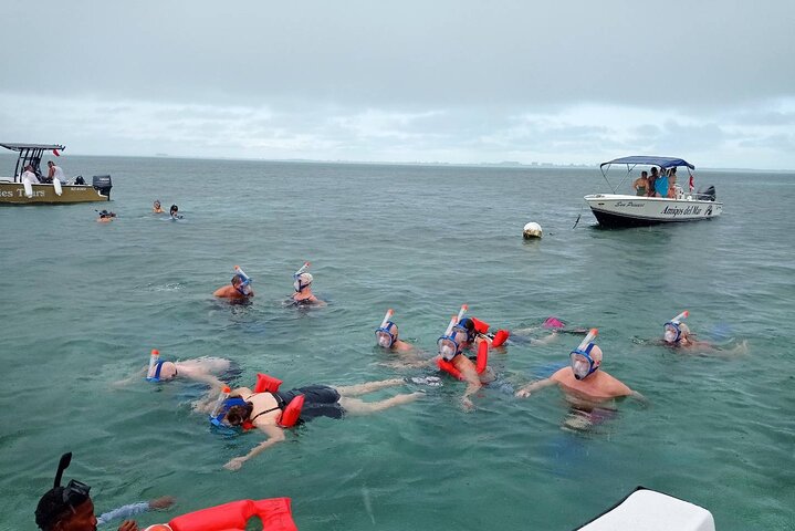 Snorkeling at Hol Chan Marine Reserve and Shark Ray Alley