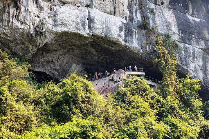 Ha Long Bay Day Cruise Kayaking, Cave, Island, Swimming, Lunch