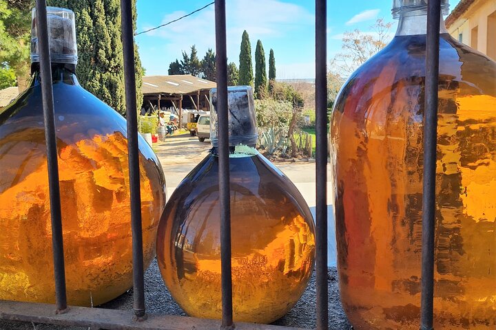 Wine Tour in Roussillon: Picnic & Tasting Day