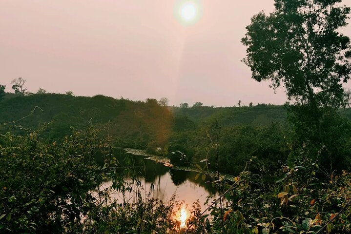 Full Day Sreemangal Tea Garden & National Park Hiking Tour