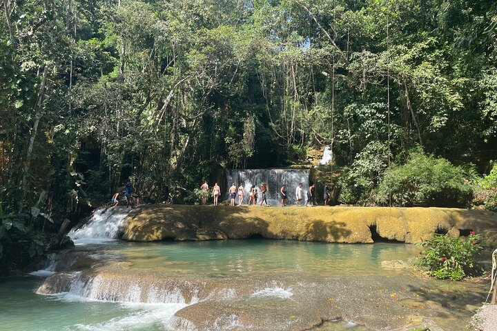 YS Falls Half Day Tour