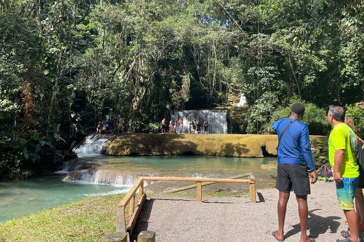 YS Falls Half Day Tour