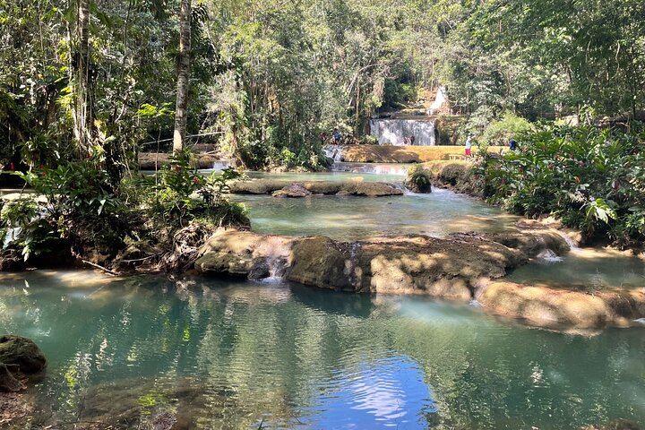 YS Falls Half Day Tour