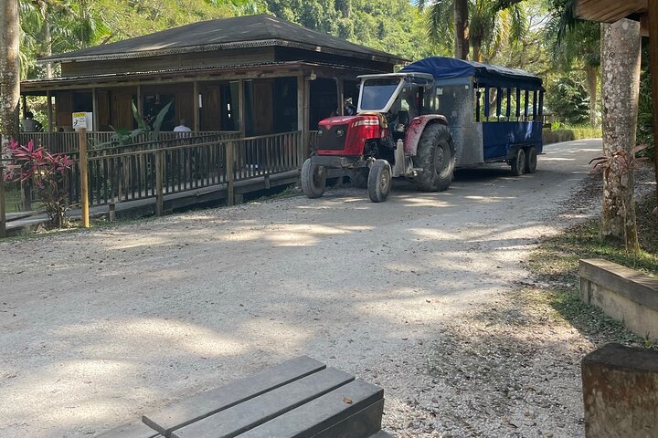 YS Falls Half Day Tour