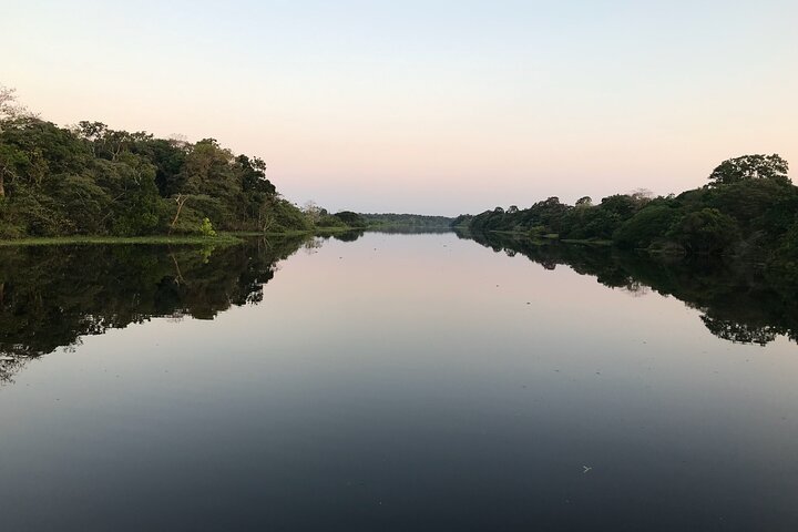 Amazon River Day Tour – The Ultimate Full-Day Adventure