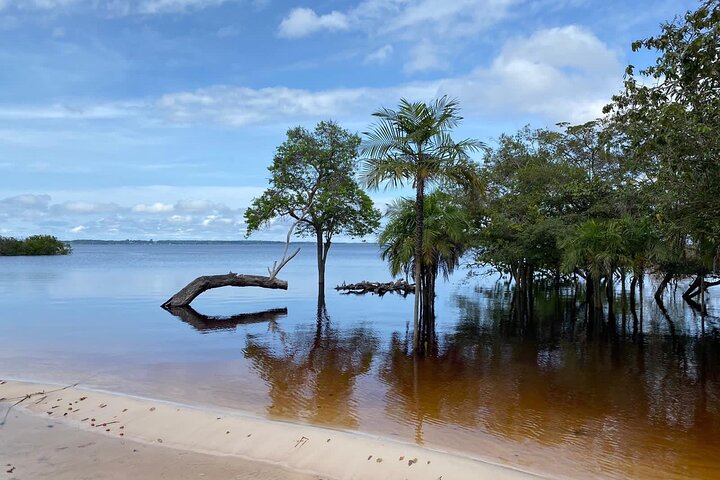 Amazon River Day Tour – The Ultimate Full-Day Adventure