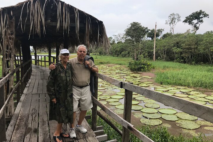 Amazon River Day Tour – The Ultimate Full-Day Adventure