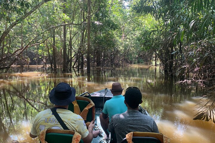 Amazon River Day Tour – The Ultimate Full-Day Adventure