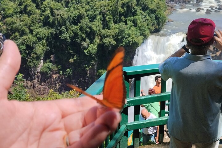 Best Private Tour Iguassu Falls Brazil, Argentina in 1 day