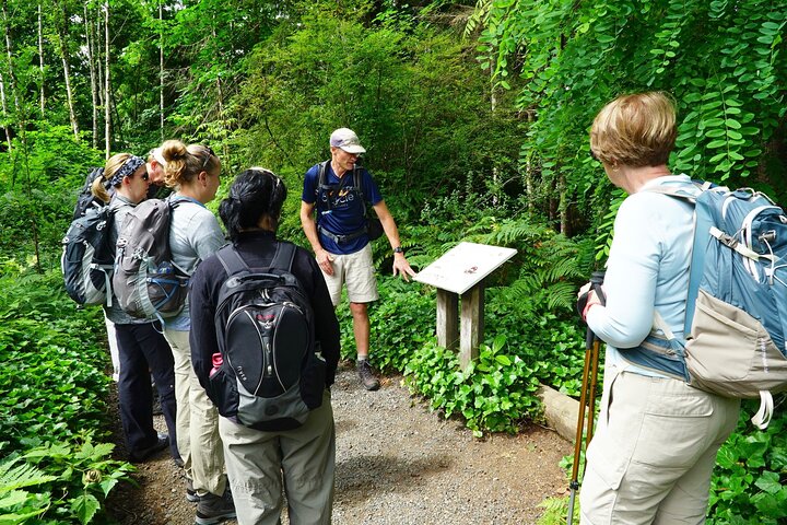 Best of Olympic National Park from Seattle: All-Inclusive Small-Group Day Tour