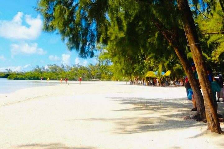 Catamaran To Ile Aux Cerfs, GRSE Waterfall, Snorkelling, Lunch