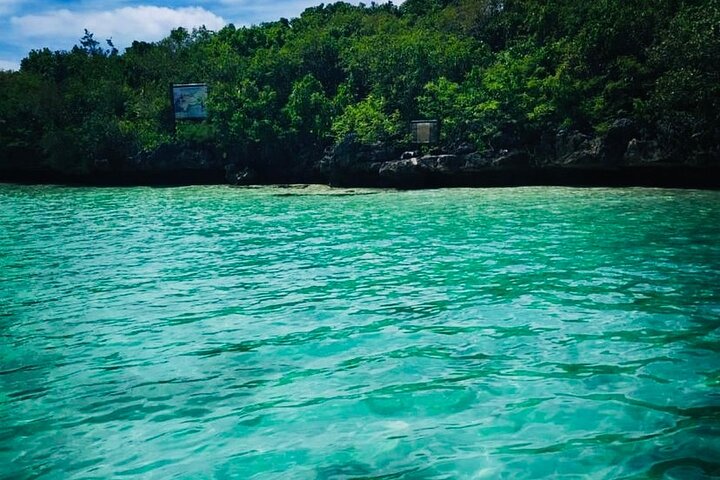 Catamaran To Ile Aux Cerfs, GRSE Waterfall, Snorkelling, Lunch