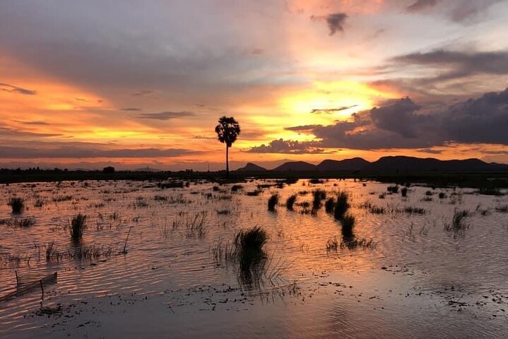 Private Full Day Tuk Tuk Tour in Battambang