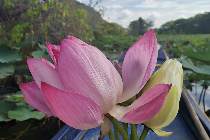 Private Full Day Tuk Tuk Tour in Battambang