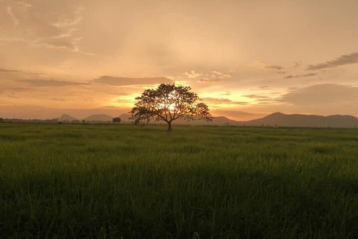 Private Full Day Tuk Tuk Tour in Battambang
