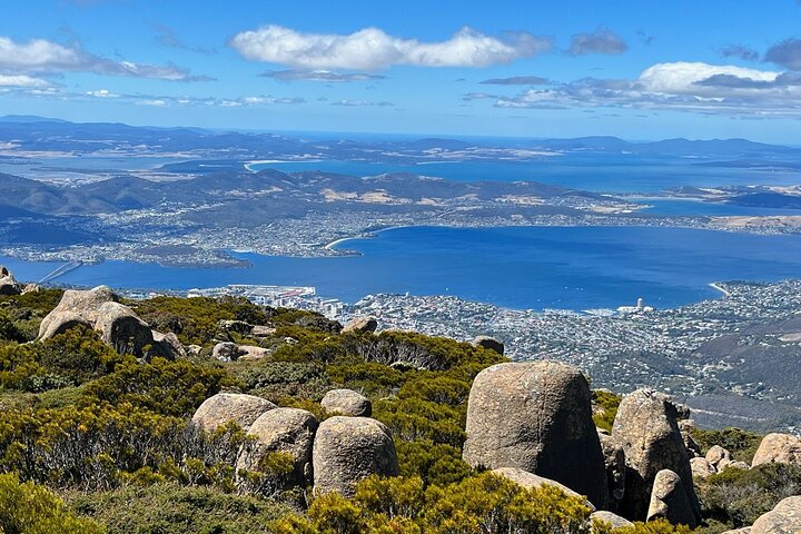 kunanyi/Mt Wellington Explorer Bus- Return Tour (2.5 hours)