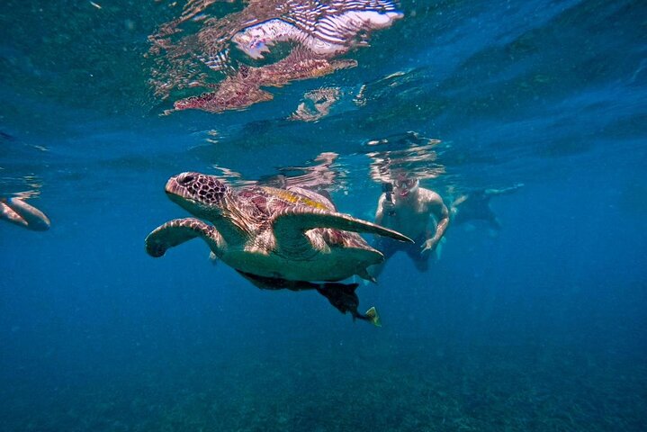 Ko Tao: Vintage Boat - Small Group Snorkeling Day Trip with Meals