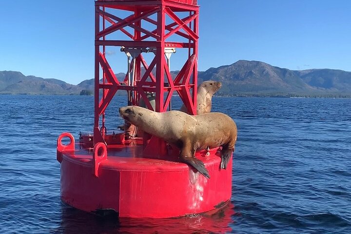 Ketchikan Zodiac Boat Adventure