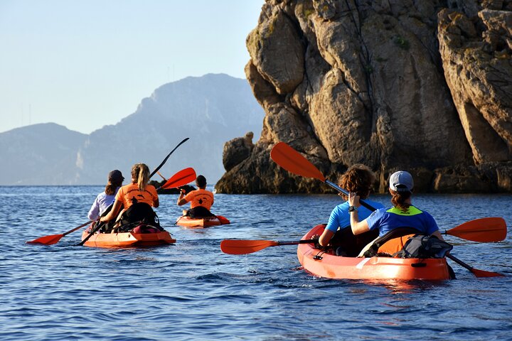 Kayak tour with aperitif and dolphins
