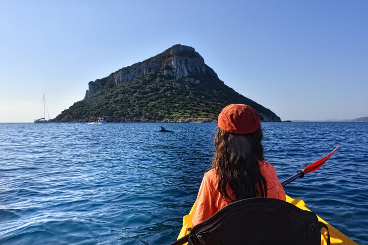 Kayak tour with aperitif and dolphins