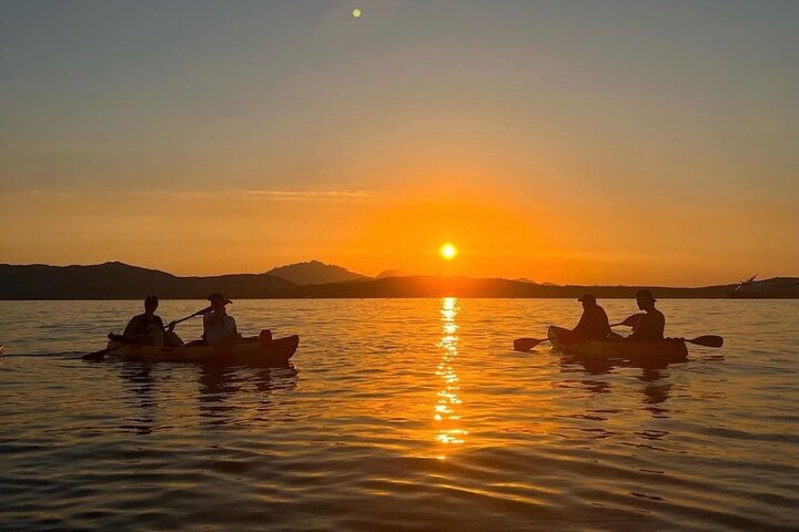 Kayak tour with aperitif and dolphins