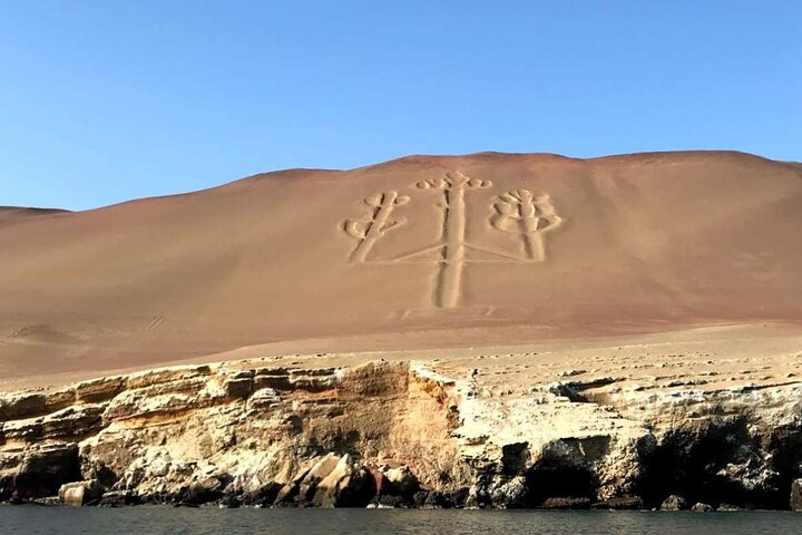 Ballestas Islands : Round Trip from Pisco Cruise Port