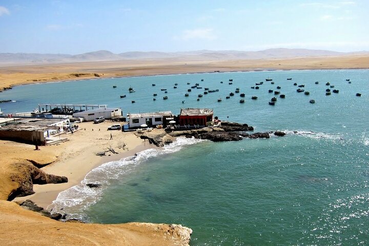 From cruise ships Pisco : Tour islands Ballestas and Paracas Reserve