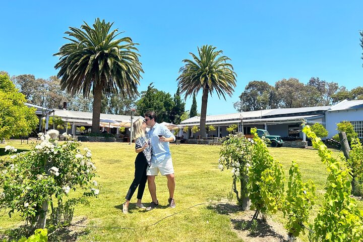 Wine Lovers - Punta Wine Experience