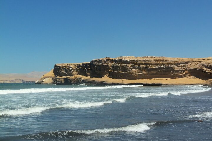From cruise ships Pisco : Tour islands Ballestas and Paracas Reserve