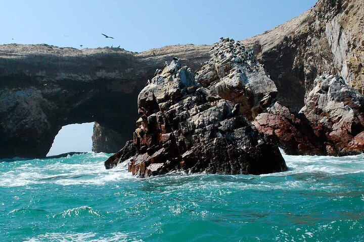 Ballestas Islands : Round Trip from Pisco Cruise Port