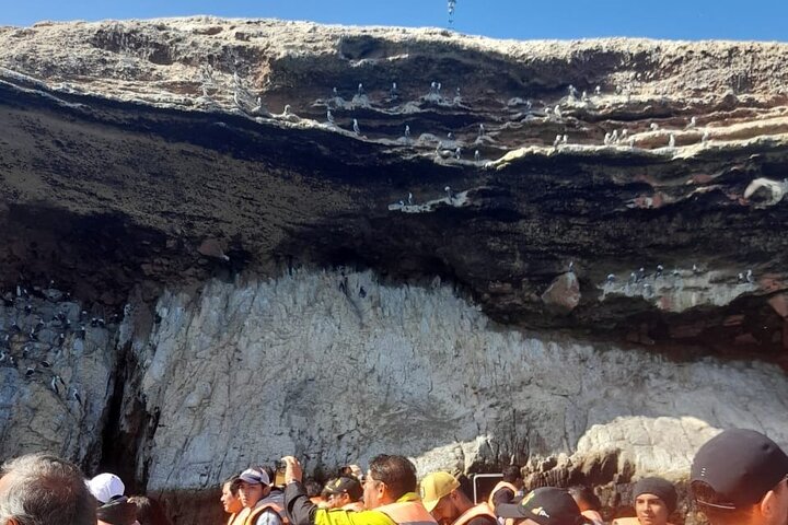 Ballestas Islands : Round Trip from Pisco Cruise Port