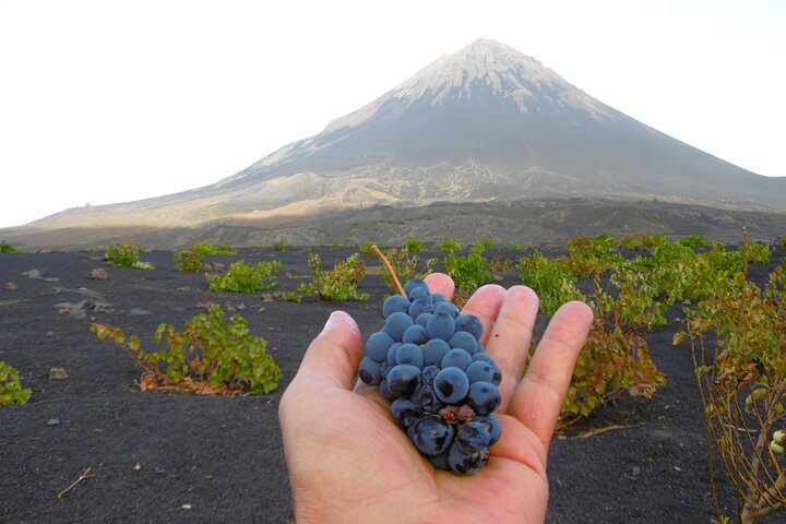 A 1-day experience through the Fogo Volcano