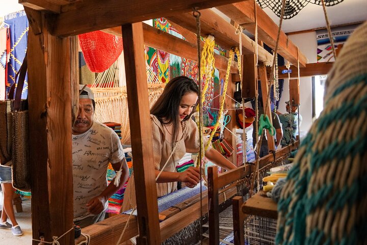 Magical Todos Santos Tour with Camel Ranch, Lunch, and Tequila