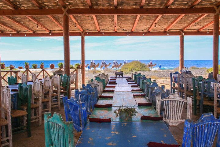 Magical Todos Santos Tour with Camel Ranch, Lunch, and Tequila