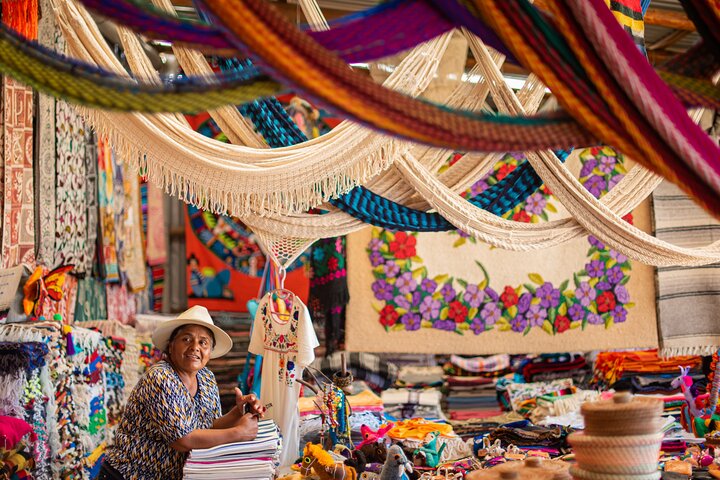 Magical Todos Santos Tour with Camel Ranch, Lunch, and Tequila