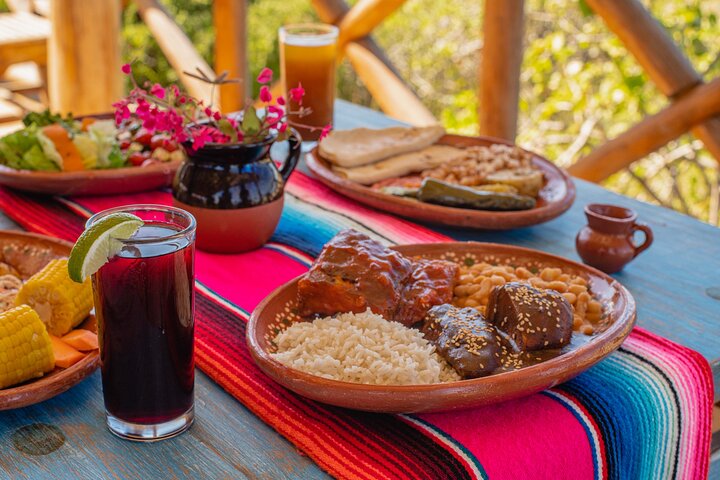 Magical Todos Santos Tour with Camel Ranch, Lunch, and Tequila
