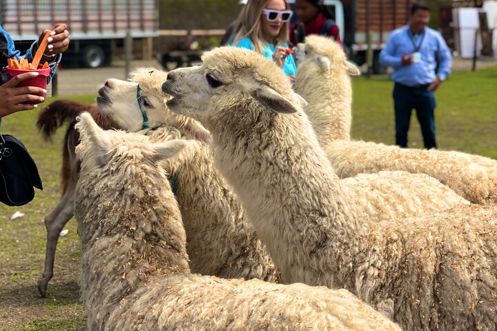Guatapé Full Day Tour – Piedra del Peñol with meals & boat tour