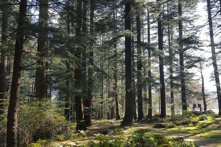 Exclusive 6-Hour Private Manali & Solang Valley Tour